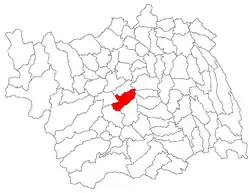 Location in Bacău County