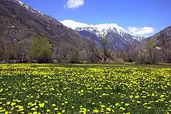 Spring landscape of the Cerdanya in Llívia.