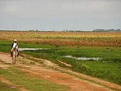 Typical landscape of Los Llanos
