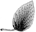 Long-and-short stitch