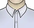 A collar with long pointy edges.