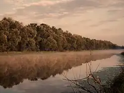 Sava river