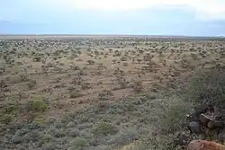 Present-day elevated view of the open ground over which the British advanced