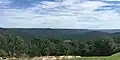 Northern Section of the Cove from the end of Rattlesnake Spring Road in Summer. In the distance is northern Alabama
