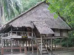 Lotud house