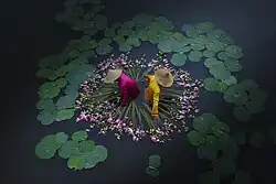 Two people standing waist-deep in water surrounded by cut lotus flowers