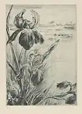 Louise Danse, Orchidées, Royal Library of Belgium