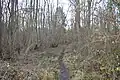 Lower Wood
