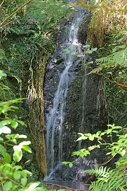 A small waterfall running down rocks with lots of vegetation flanking either side of the waterfall