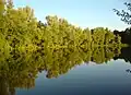 Liubotyn pond