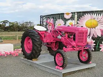 "LUCINDA": Tribute to Rural women on Formby Road South, the local section of the Horsepower Highway