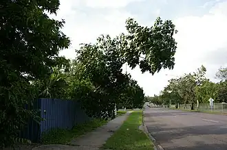 Looking up Bagot Road in Ludmilla