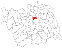 Location in Bacău County