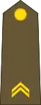 Premier sergent (Luxembourg Army)[35]
