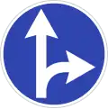 Straight ahead or right turn permitted