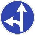 Straight ahead or left turn permitted