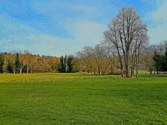 Southern section of the grounds