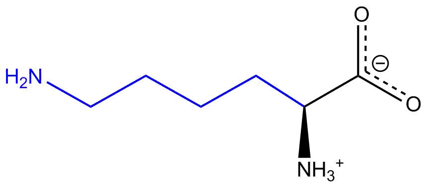 Lysine