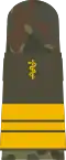 Mounting loop