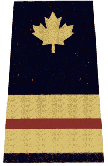 Medical, maroon