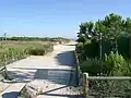 footpath to the beach