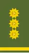 Lieutenant general
