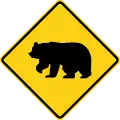 W11-16 Bear