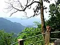 Macaque indigenous to the region