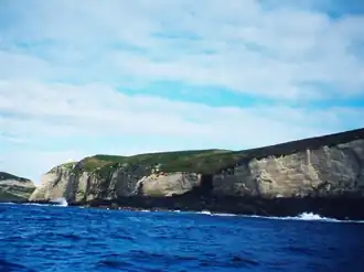 White cliffs rise above a dark blue sea. Greenlands extend above the cliffs.