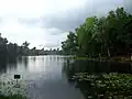 Madhobpur lake