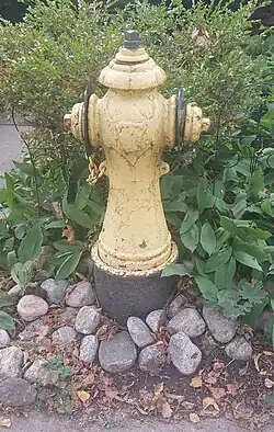 "Mae West" fire hydrant in Toronto, Canada