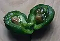 Sectioned fruit