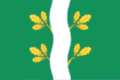 Flag of Mayna