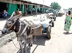 Malakal center