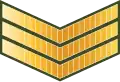 ސާރޖަންޓް Saarjant (Maldives National Defence Force)[87]