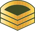 ސްޓާފް ސާރޖަންޓް Staaf saarjant (Maldives National Defence Force)[39]
