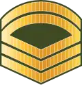 ސާރޖަންޓް ފަސްޓް ކްލާސް Saarjant fast klaas (Maldives National Defence Force)[11]