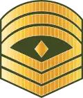 ފަސްޓް ސާރޖަންޓް Fast saarjant (Maldives National Defence Force)[36]