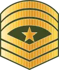 ސާރޖަންޓް މޭޖަރ Saarjant meyjar (Maldives National Defence Force)[40]