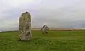 Stones on the Avenue, demonstrating the contested 'male' and 'female' shapes.