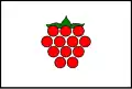 Flag of Malenovice