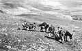 Yiftach Brigade bringing supplies to kibbutz Manara, 1948