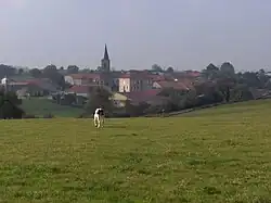 A general view of Mandres-en-Barrois