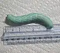 The average size of a late instar Manduca sexta caterpillar.