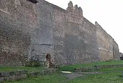 Wall of Mansilla de las Mulas