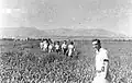 Members of kibbutz Maoz on a training field trip. 1947