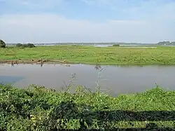 Orx Marsh nature reserve