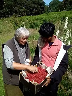 Dr Margaret with her mentor yogi śri dvita at Pishwanton Wood.
