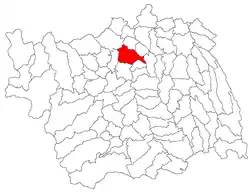 Location in Bacău County