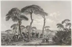 Marilhat, Souvenir des environs de Beyrouth, Salon of 1841